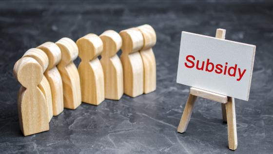 Subsidy Platform